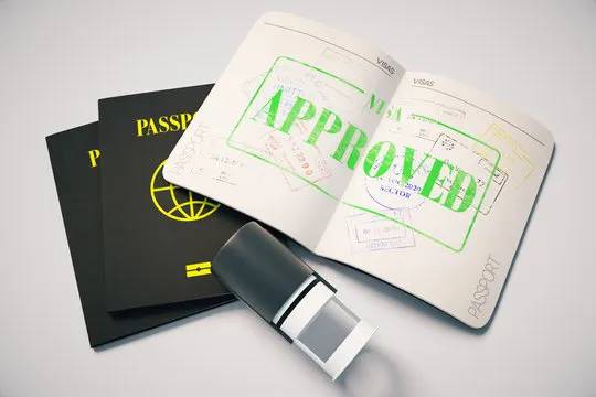 Visa Consultation Tips